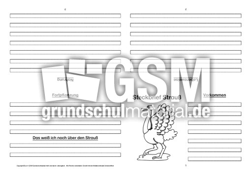 Strauß-Faltbuch-vierseitig-3.pdf